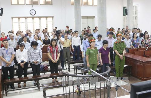Xét xử vụ Châu Thị Thu Nga: Các bị hại mong muốn dự án B5 Cầu Diễn tiếp tục được triển khai ảnh 1